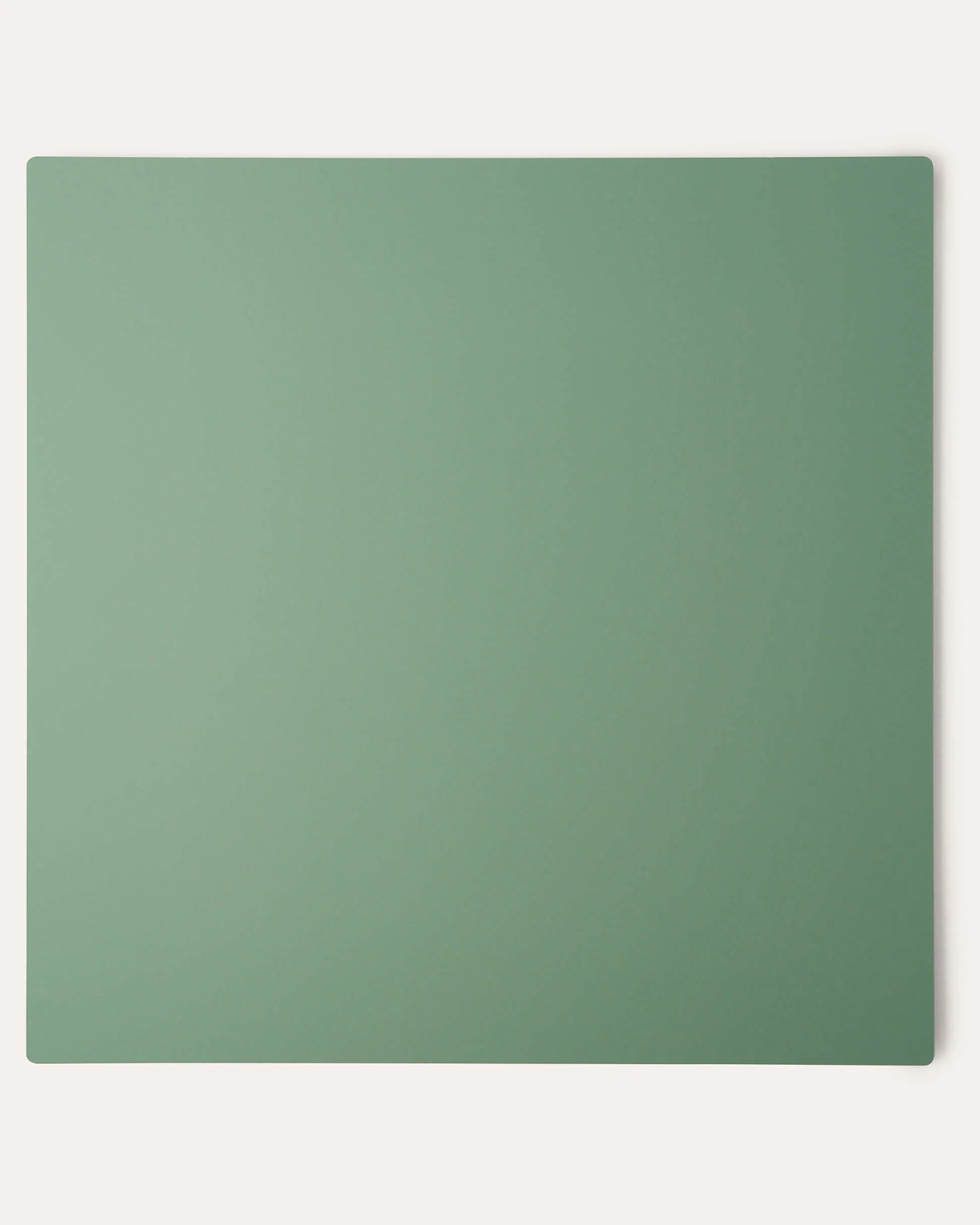 Canvas SURFACE Backdrops - Double-sided Monochromatic Green - Image 3